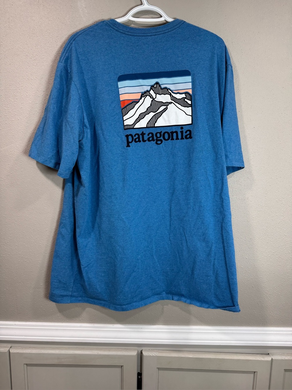 Patagonia Men’s Tshirt
